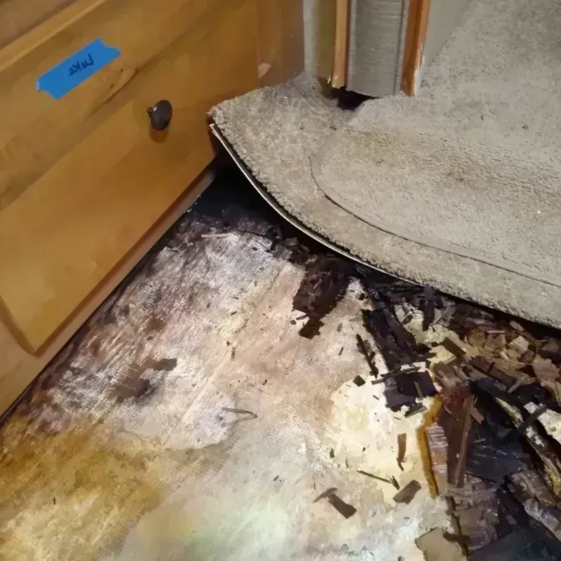 Wood Floor Water Damage in Worth, IL